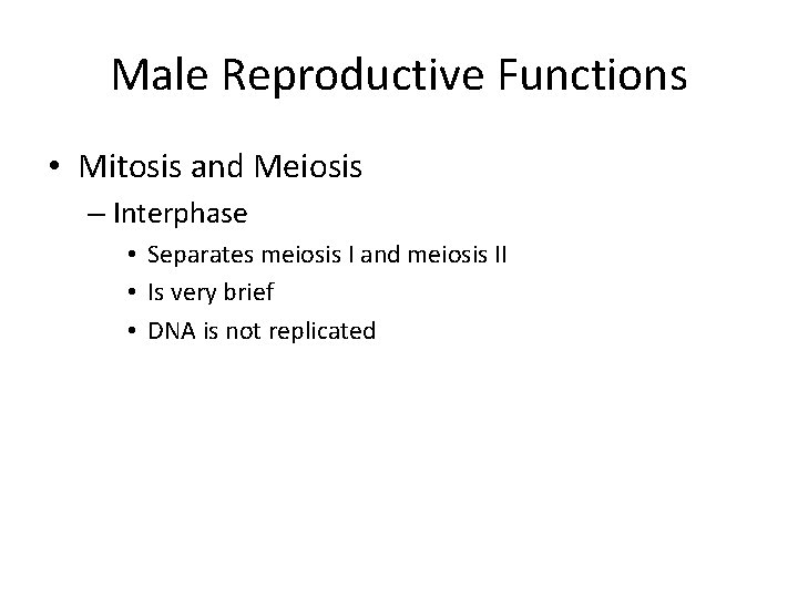 Male Reproductive Functions • Mitosis and Meiosis – Interphase • Separates meiosis I and