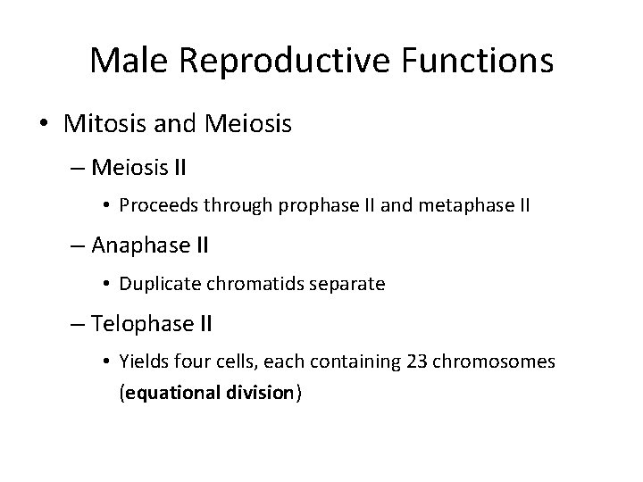 Male Reproductive Functions • Mitosis and Meiosis – Meiosis II • Proceeds through prophase