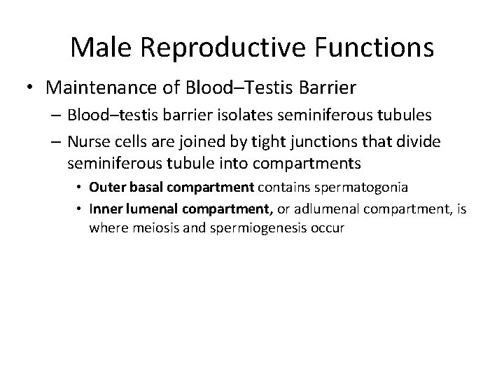 Male Reproductive Functions • Maintenance of Blood–Testis Barrier – Blood–testis barrier isolates seminiferous tubules
