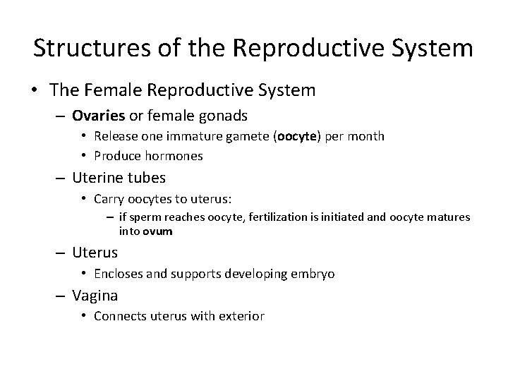 Structures of the Reproductive System • The Female Reproductive System – Ovaries or female