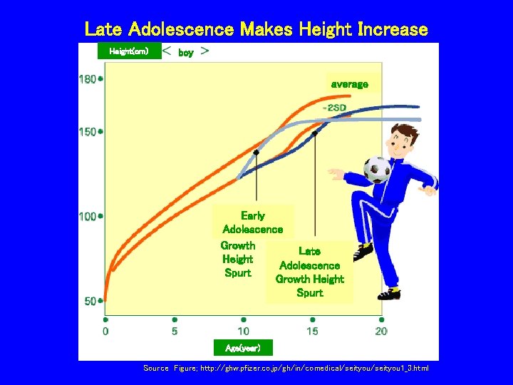 Late Adolescence Makes Height Increase Height(cm） boy average Early Adolescence Growth Late Height Adolescence