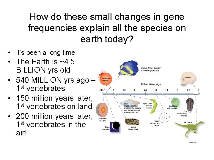 How do these small changes in gene frequencies explain all the species on earth