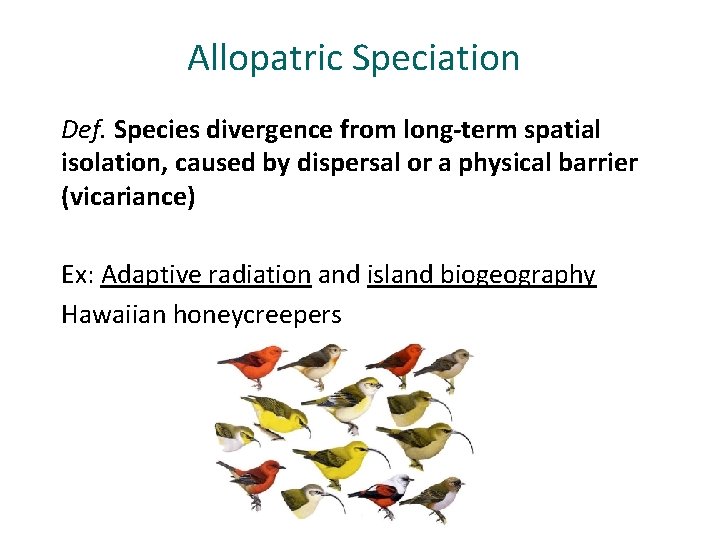 Allopatric Speciation Def. Species divergence from long-term spatial isolation, caused by dispersal or a