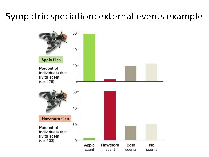Sympatric speciation: external events example 