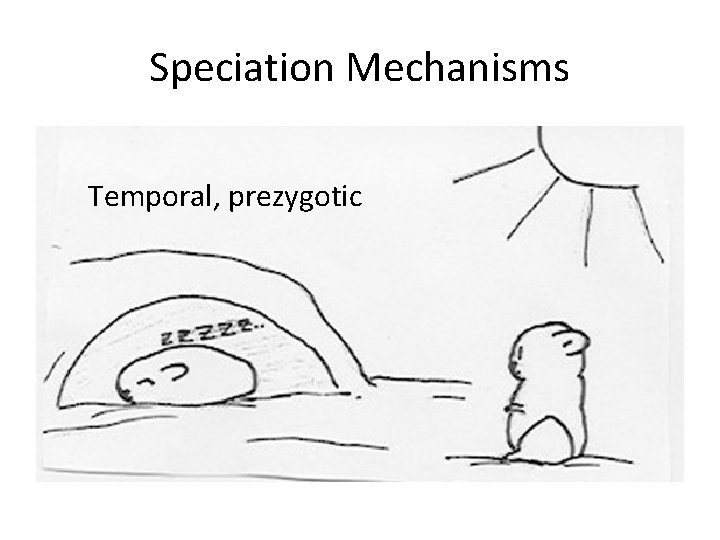 Speciation Mechanisms Temporal, prezygotic 