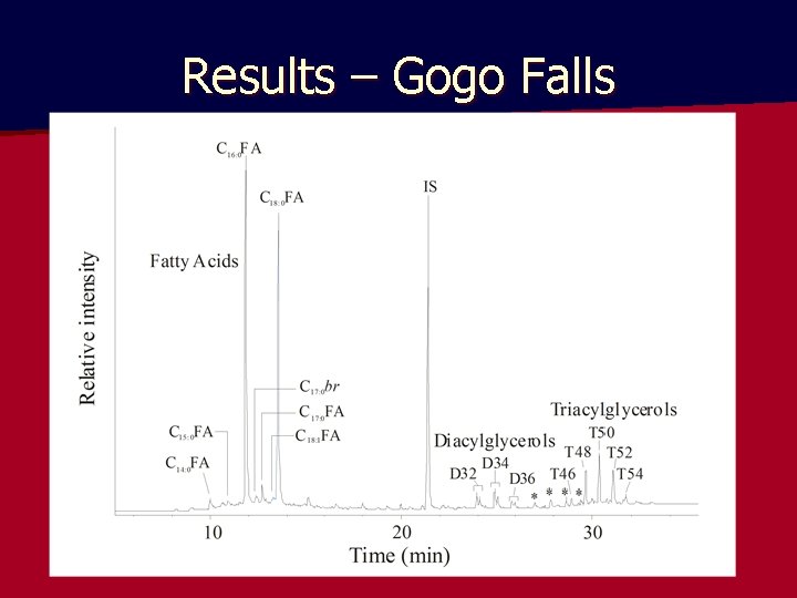 Results – Gogo Falls 