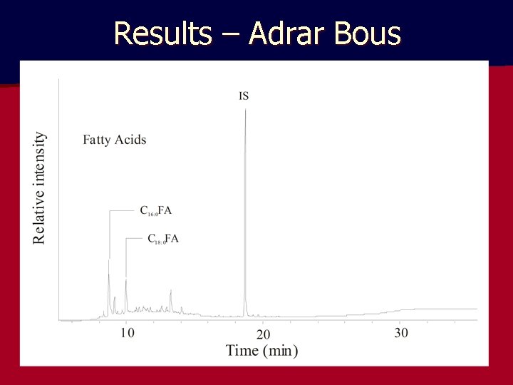 Results – Adrar Bous 