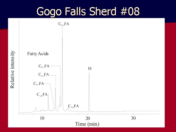 Gogo Falls Sherd #08 