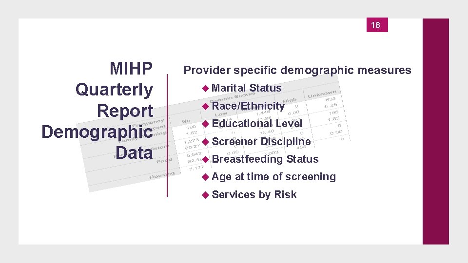 18 MIHP Quarterly Report Demographic Data 18 Provider specific demographic measures Marital Status Race/Ethnicity
