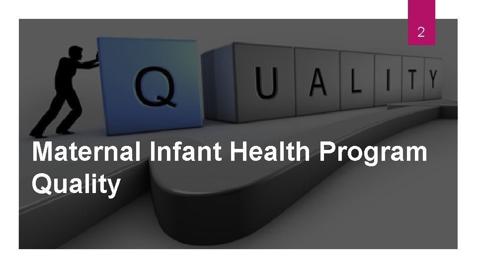 2 Maternal Infant Health Program Quality 