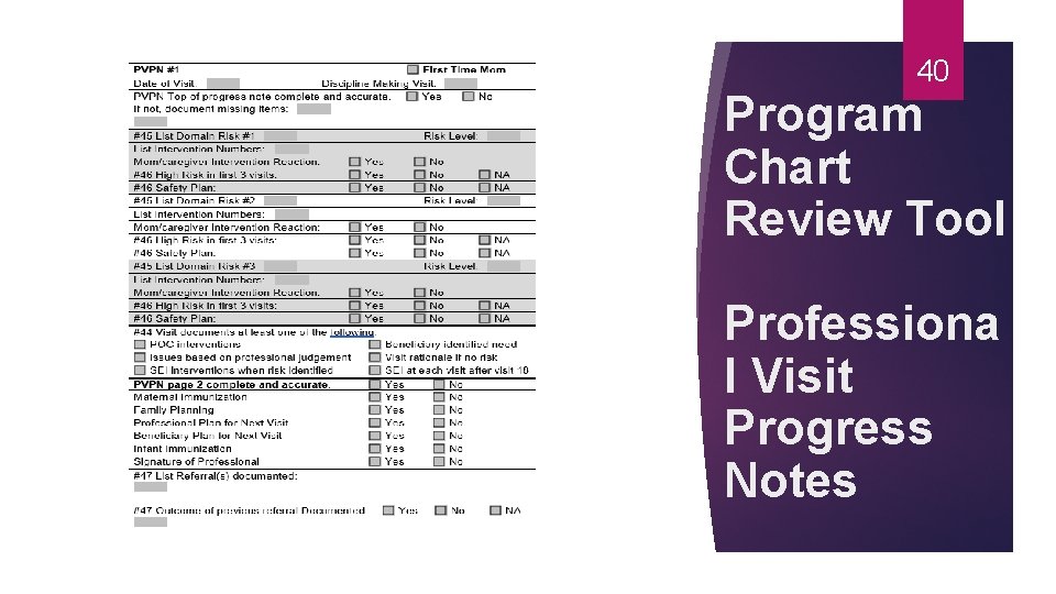 40 Program Chart Review Tool Professiona l Visit Progress Notes 