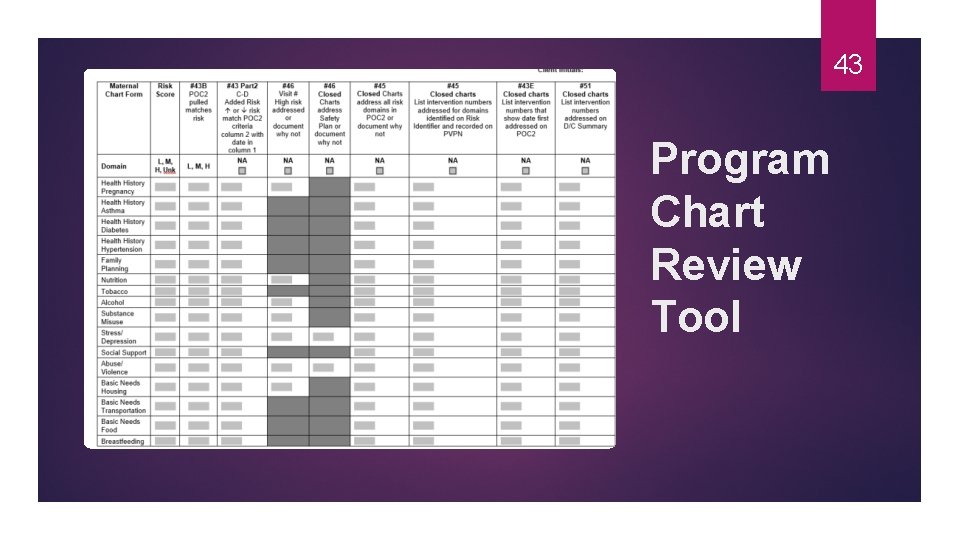 43 Program Chart Review Tool 