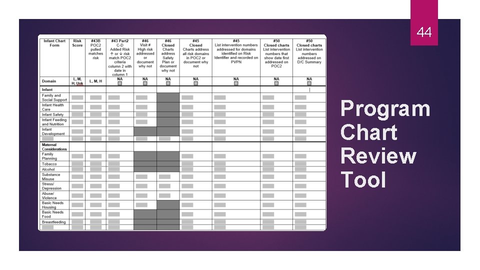 44 Program Chart Review Tool 