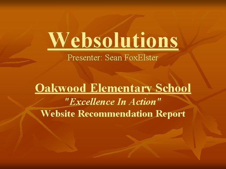 Websolutions Presenter: Sean Fox. Elster Oakwood Elementary School "Excellence In Action" Website Recommendation Report