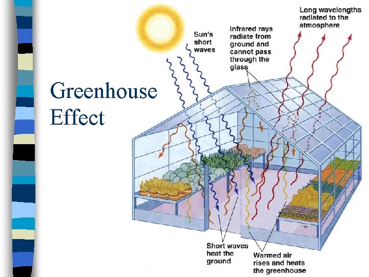 Greenhouse Effect 