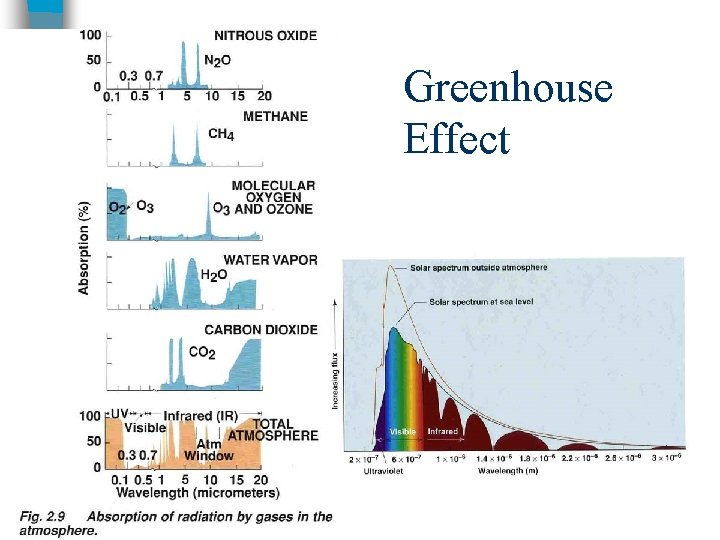 Greenhouse Effect 