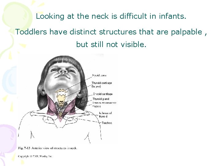 Looking at the neck is difficult in infants. Toddlers have distinct structures that are