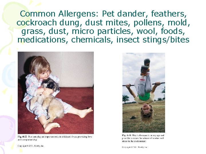Common Allergens: Pet dander, feathers, cockroach dung, dust mites, pollens, mold, grass, dust, micro Common Allergens: Pet dander, feathers, cockroach dung, dust mites, pollens, mold, grass, dust, micro