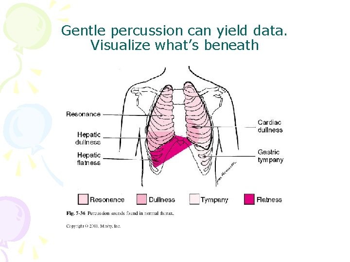 Gentle percussion can yield data. Visualize what’s beneath 