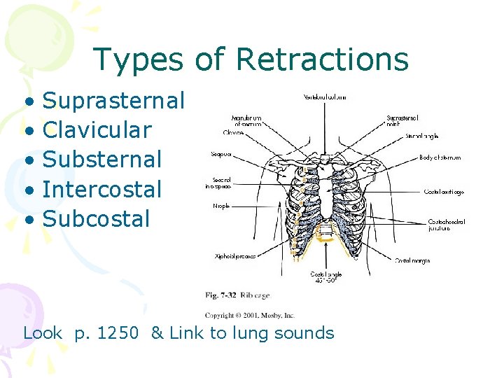 Types of Retractions • Suprasternal • Clavicular • Substernal • Intercostal • Subcostal Look