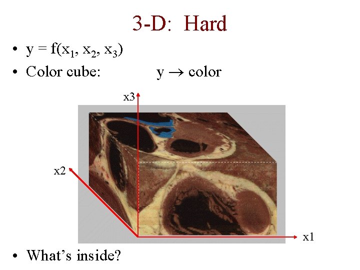 3 -D: Hard • y = f(x 1, x 2, x 3) • Color