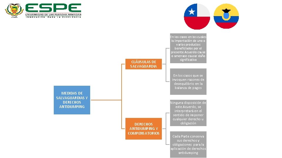 CLÁUSULAS DE SALVAGUARDIA En los casos en los cuales la importación de uno o