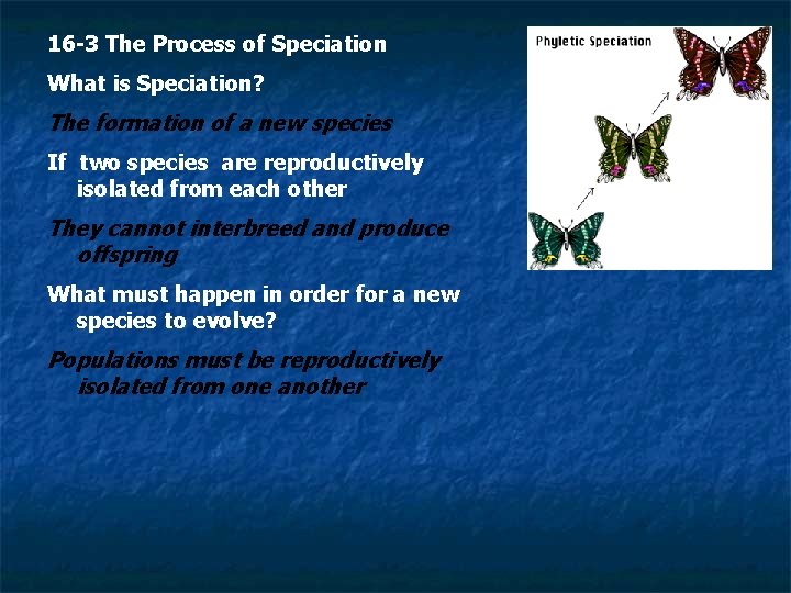 16 -3 The Process of Speciation What is Speciation? The formation of a new