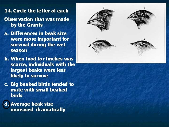 14. Circle the letter of each Observation that was made by the Grants a.