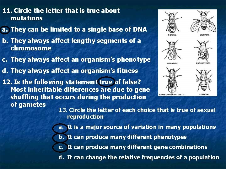 11. Circle the letter that is true about mutations a. They can be limited