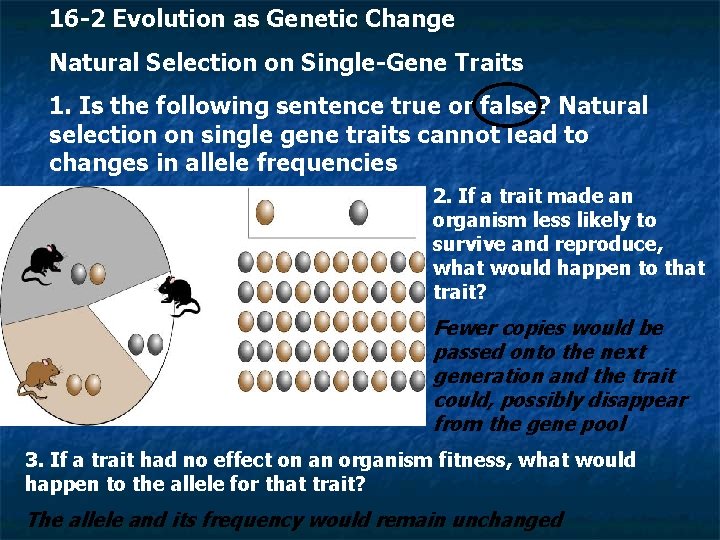 16 -2 Evolution as Genetic Change Natural Selection on Single-Gene Traits 1. Is the