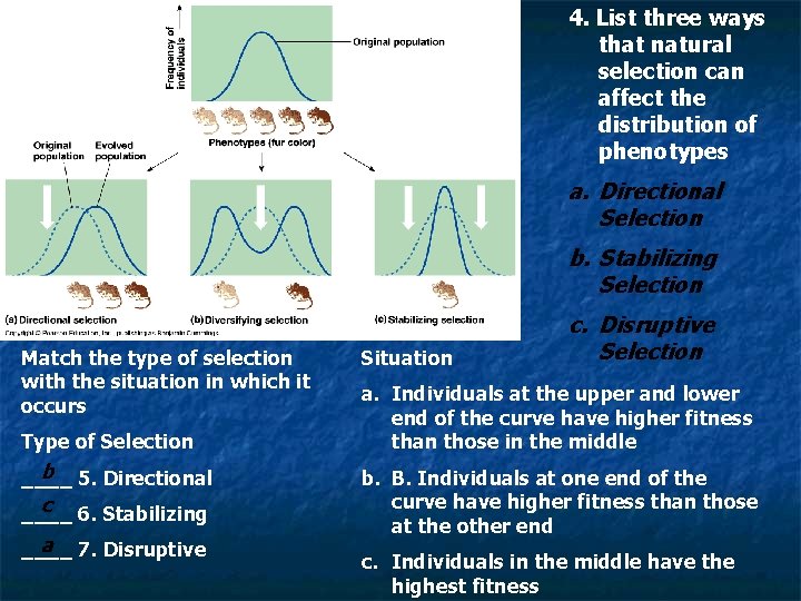 4. List three ways that natural selection can affect the distribution of phenotypes a.