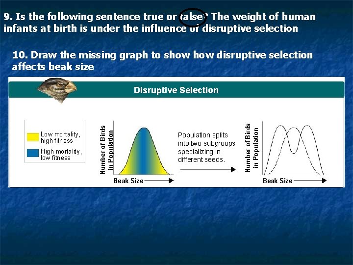 9. Is the following sentence true or false? The weight of human infants at