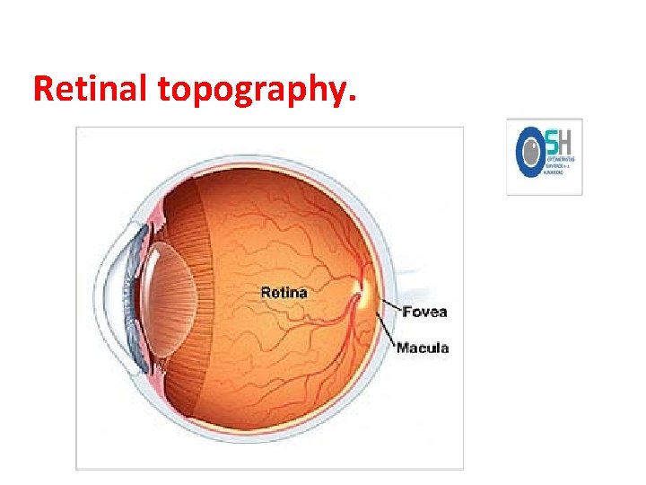 Retinal topography. 