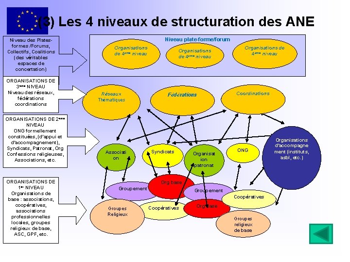 (3) Les 4 niveaux de structuration des ANE Niveau des Platesformes /Forums, Collectifs, Coalitions