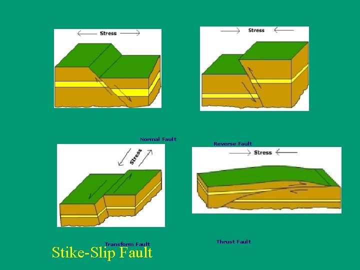  Reverse Fault Normal Fault Transform Fault Stike-Slip Fault Thrust Fault 