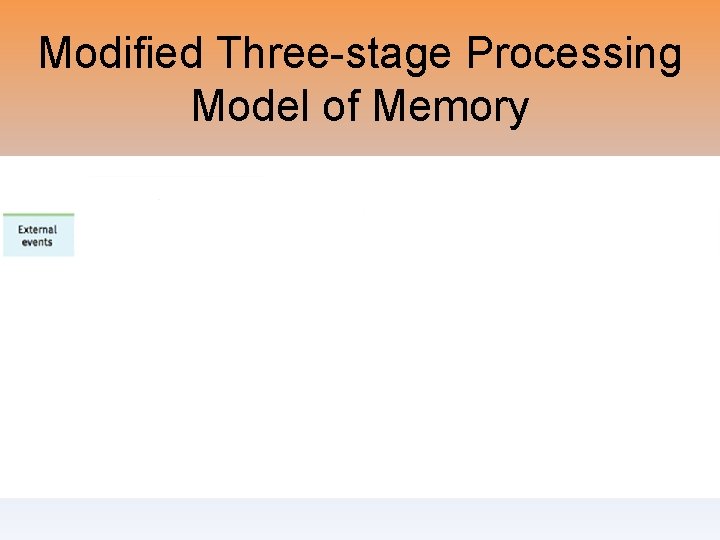 Modified Three-stage Processing Model of Memory 