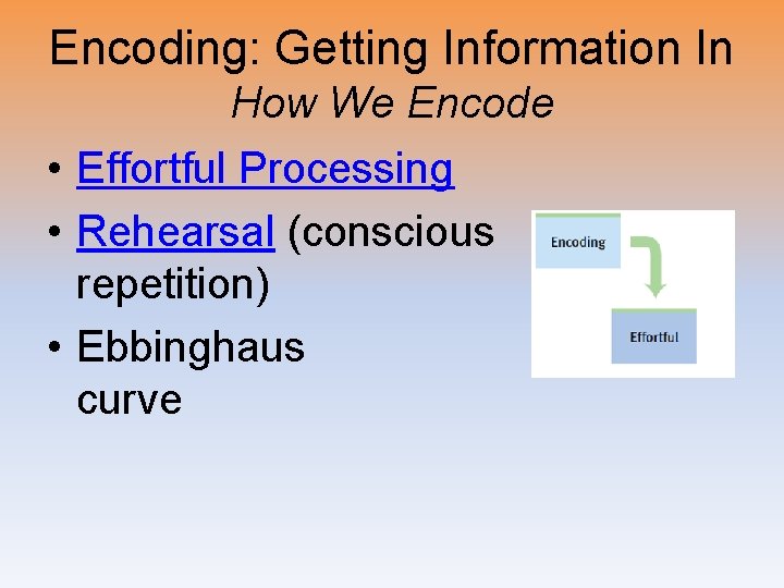 Encoding: Getting Information In How We Encode • Effortful Processing • Rehearsal (conscious repetition)