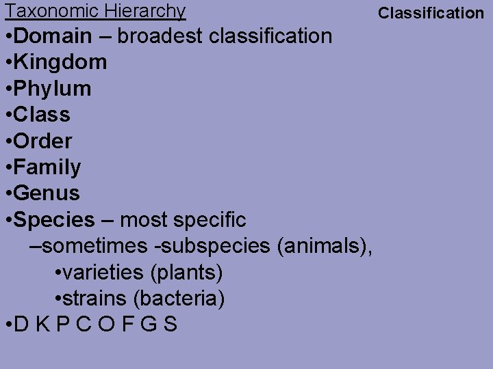 Taxonomic Hierarchy • Domain – broadest classification • Kingdom • Phylum • Class •