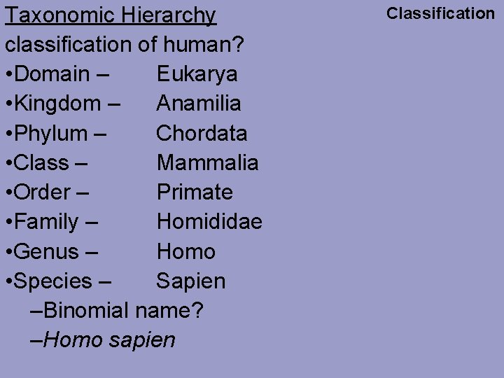 Taxonomic Hierarchy classification of human? • Domain – Eukarya • Kingdom – Anamilia •