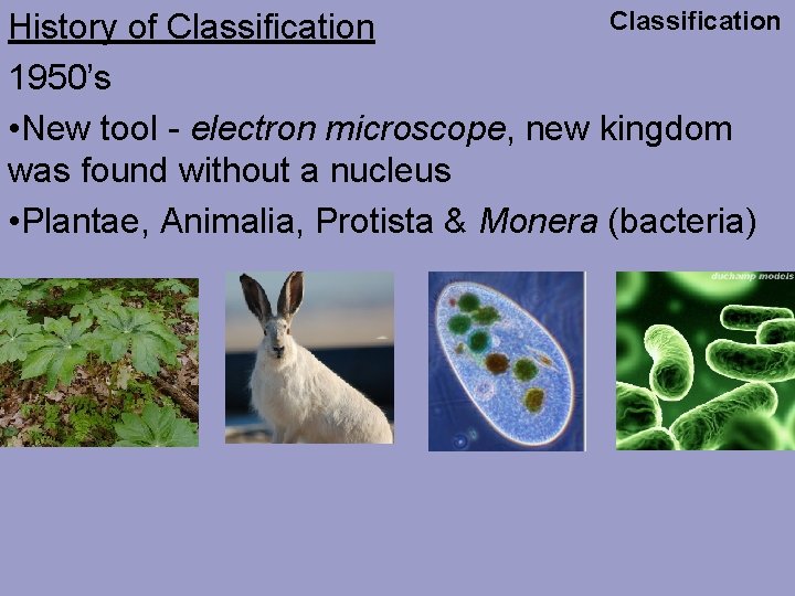 Classification History of Classification 1950’s • New tool - electron microscope, new kingdom was