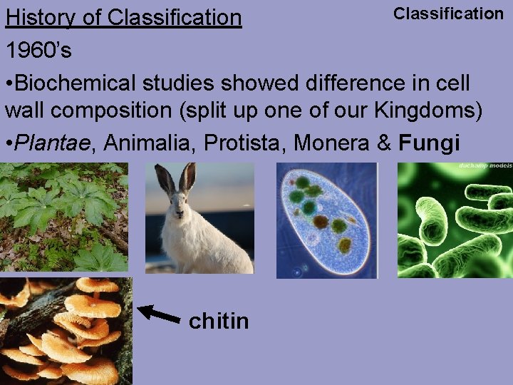 Classification History of Classification 1960’s • Biochemical studies showed difference in cell wall composition