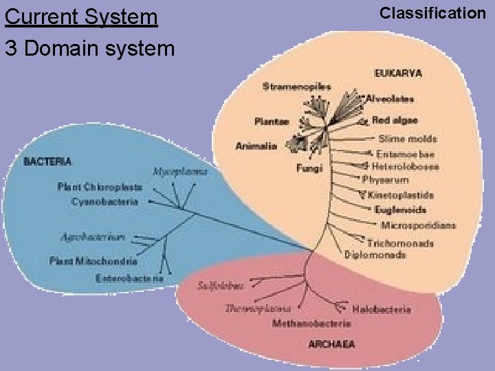 Current System 3 Domain system Classification 