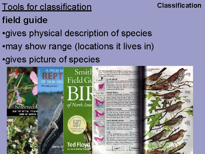 Tools for classification field guide • gives physical description of species • may show