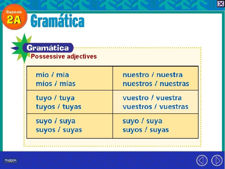 Possessive adjectives 