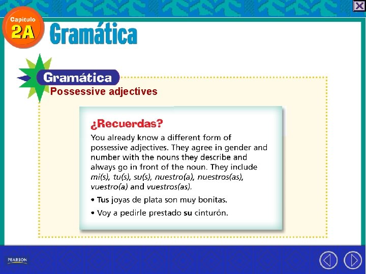 Possessive adjectives 