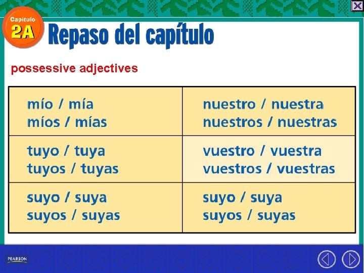 possessive adjectives 