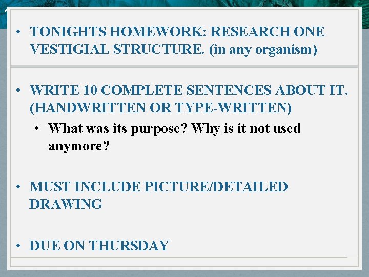 10. 4 Evidence of Evolution • TONIGHTS HOMEWORK: RESEARCH ONE VESTIGIAL STRUCTURE. (in any