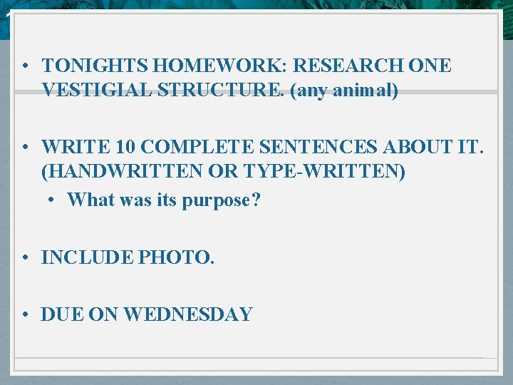 10. 4 Evidence of Evolution • TONIGHTS HOMEWORK: RESEARCH ONE VESTIGIAL STRUCTURE. (any animal)