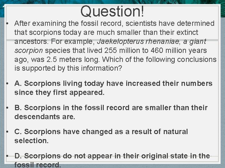 Question! 10. 4 Evidence of Evolution • After examining the fossil record, scientists have