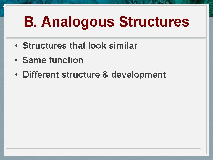 10. 4 Evidence of Evolution B. Analogous Structures • Structures that look similar •